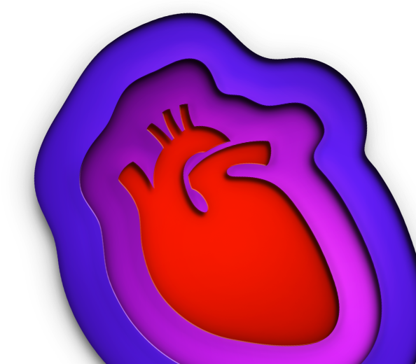 Heart